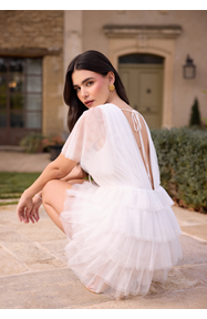 Bubbleroom Occasion Deep V-neck Tulle Dress 