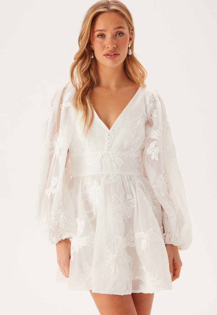 Bardot Eva Chiffon Mini Dress